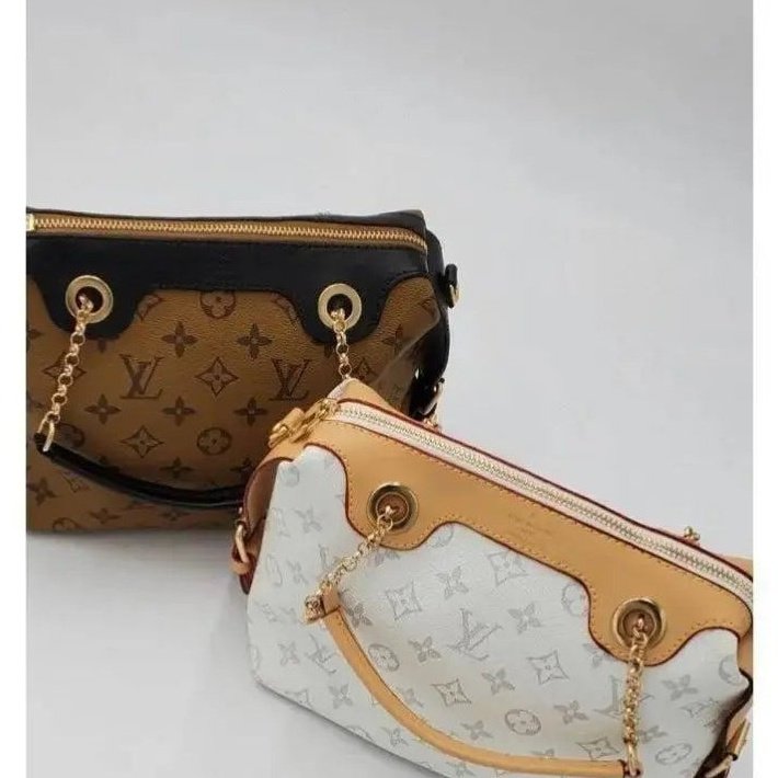 Louis Vuitton Louis Vuitton Handbag